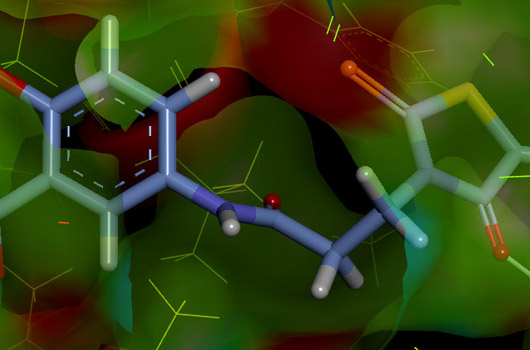 ROR Nuclear Receptors Focused Library